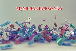 menh-hoa-hop-so-nao-4