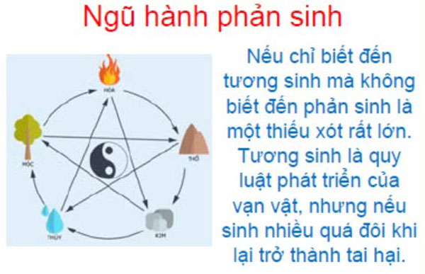 Ngu-hanh-phan-sinh-la-gi